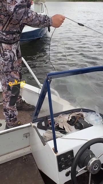 Боремся с браконьерами смотреть онлайн