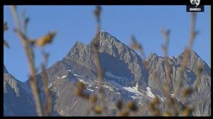 Непутевые заметки 17.02.2002