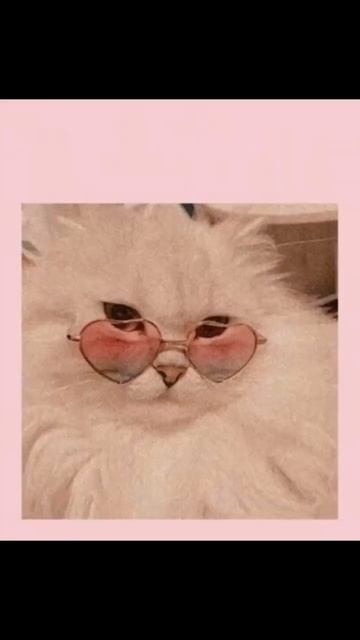 обои || будет 2 часть только нг обои будут😍❣️💗 смотреть онлайн