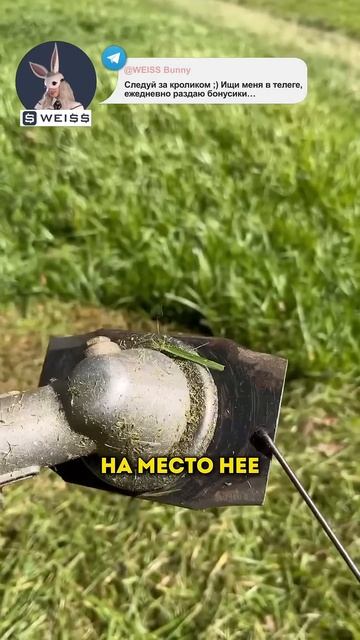 Этот парень провел эксперимент с катушкой на триммере смотреть онлайн