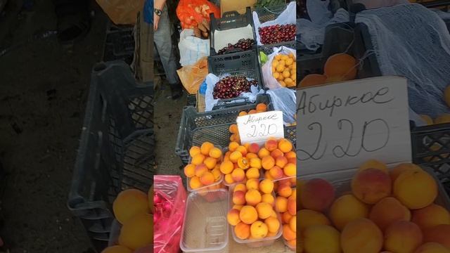 Белгород. Цены на овощи и фрукты, рынок "Мирный" на Чечерина. 2 июня 2025 год. смотреть онлайн