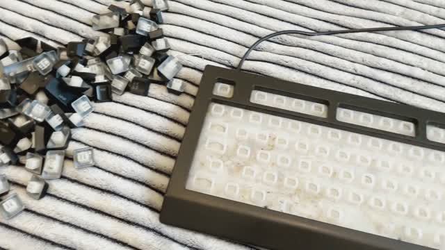 Обзор Razer Cynosa V2 1 год спустя. Чистим и смотрим, всё ли плохо как говорят. Razer уже не тот? смотреть онлайн