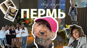 Vlog 2. Рабочие будни. Встреча с подругами. Как проходят мои выходные