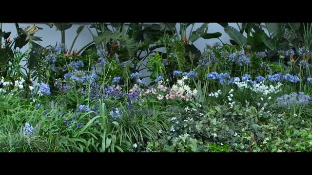 ЧАППИ УЧИТЬСЯ УГОНЯТЬ ТАЧКИ смотреть онлайн