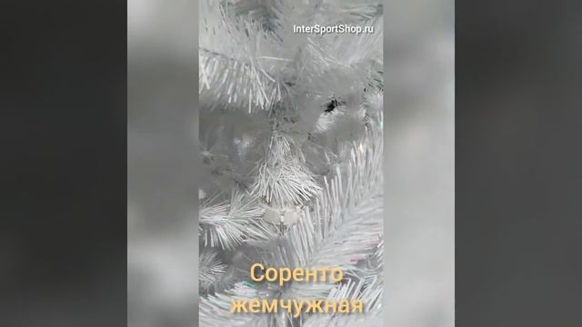 Искусственная ель Соренто жемчужная смотреть онлайн
