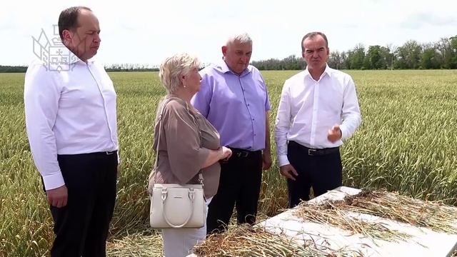 Рабочая поездка губернатора в Ленинградский округ смотреть онлайн