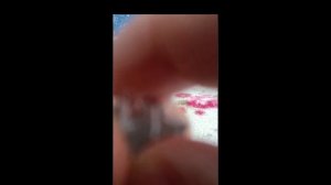 МОЖНО ЛИ СМАЗАТЬ СВИТЧИ КЛАВИАТУРЫ БЕЗ РАЗБОРКИ? КАК С