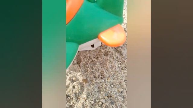 улёт из Резгрея 9 сезон 1 серия смотреть онлайн