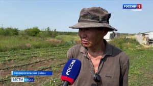 Как выращивают и собирают спаржу в Крыму