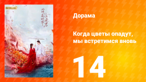 Когда цветы опадут, мы встретимся вновь 1 сезон 14 серия