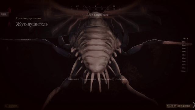 HuntStep 54 Khanindlela