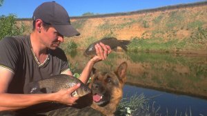 КАРАСИ и даже САЗАН! Ночная рыбалка на речке