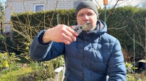 Секатор ARS VS-8Z после обрезки сада! Выводы.