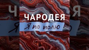 Я по полю