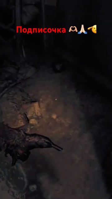 Что за хрень?! #amnesia #bunker #shorts #short