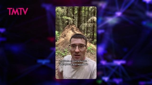 ШОУБИЗ 31.05.2025 смотреть онлайн