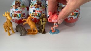 Киндер сюрприз NATOONS ( НАТУНС) в мире животных