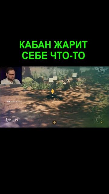 Куплинов против кабана | Kuplinov Play
