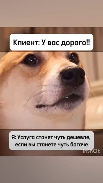 Всегда всё дорого 🤣🤣🤣🤣 смотреть онлайн