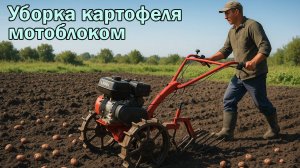 Уборка картофеля мотоблоком