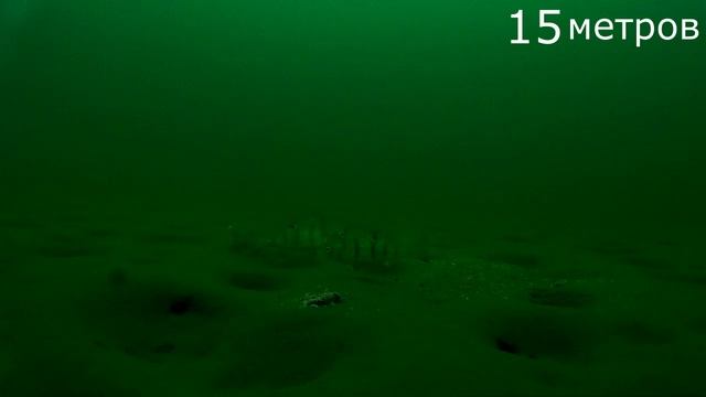 Подводное видео. Слабый клёв. смотреть онлайн