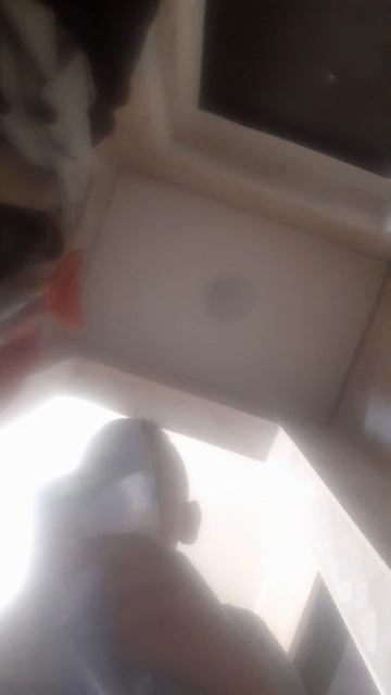 20250603_145555.mp4 смотреть онлайн