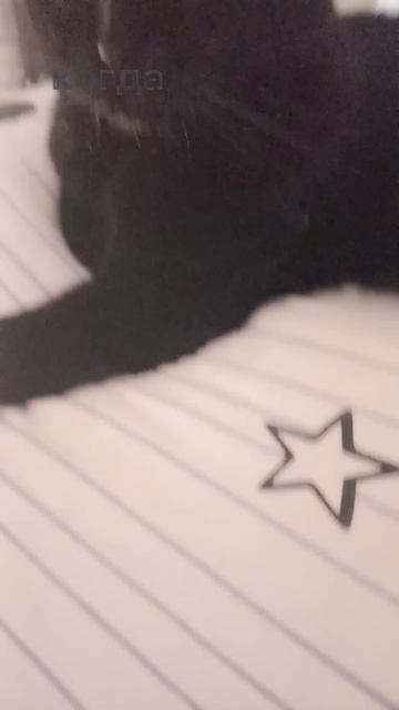 ||08:37|| он для меня много что значит❤🥺 смотреть онлайн