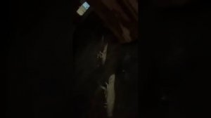 РЕШИЛ ПОЧИСТИТЬ ПЕЧЬ