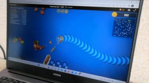 Как победить в игре Червячная зона