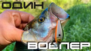 🔴 Забрался в дикие дебри! Рыбалка на один воблер – неожиданный улов! !🔥🚀💪