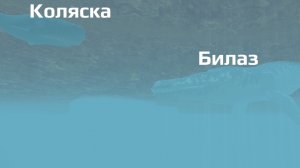 Играю в Фиш фэдл гроу