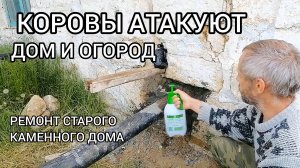 #42. Продолжаем ставить забор.В гости к питомцам.Огородные дела.Приготовление зеленого удобрения.