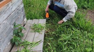 Новая покупка ,кошу траву .