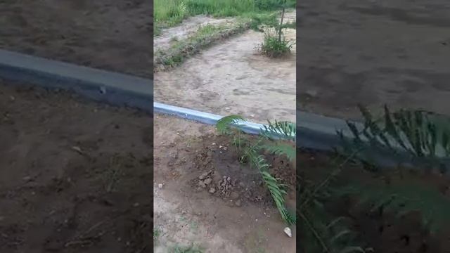 2024 06 24 Подпорная стена из плоского шифера М.О. г Солнеч? смотреть онлайн