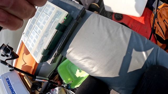 Кормим и ловим Амурского сазана с лодки