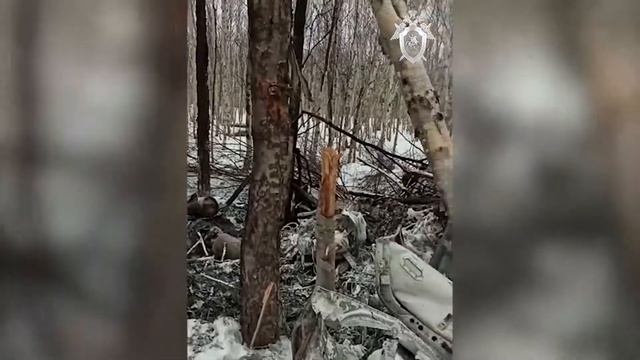 вертолет Ми-2 крушение