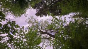 Панорамная крыша Belgee X50 - простор над головой.