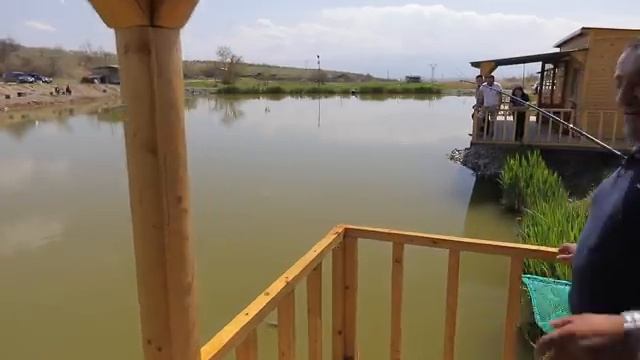 Вкусные рецепты разных видов шашлыков на природе с друзьями смотреть онлайн