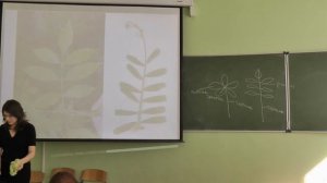 Морфология растений. Лекция 1. Платонова А. Г. edit