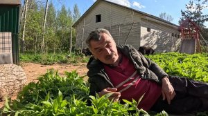 Добровольная амнезия, Побег от реальности, Сломал ногу, Заряженные спирты Владыки, Сонное царство'