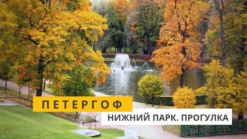 Петергоф. Прогулка по Нижнему парку в прекрасный солнечный день смотреть онлайн
