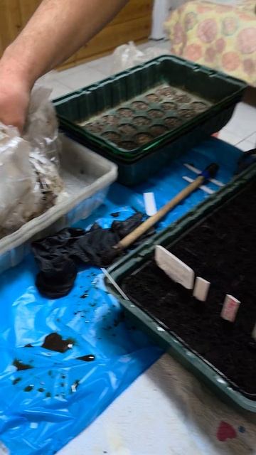 Ну что, сезон начался 😂 #жиза #юмор #семья #мужжена #ого смотреть онлайн