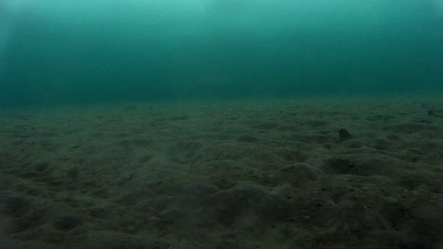 Подводное видео. На 3-х метровой глубине. смотреть онлайн