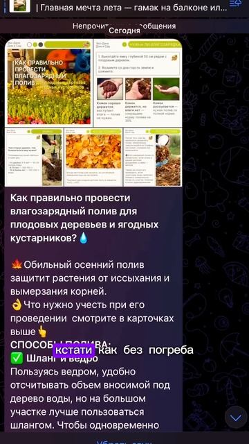 Не выкапывайте морковь и свеклу пока не увидите это #д? смотреть онлайн