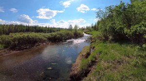 Рыбалка в кайф. Ловля хариуса на горных реках. Часть первая. 15.06.2022