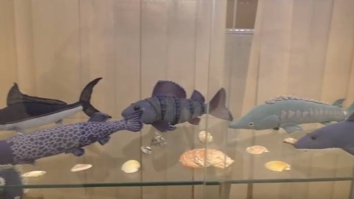 Мончегорск. Музей Цветного Камня. Выставки. Фрагменты. 03.06.25. смотреть онлайн