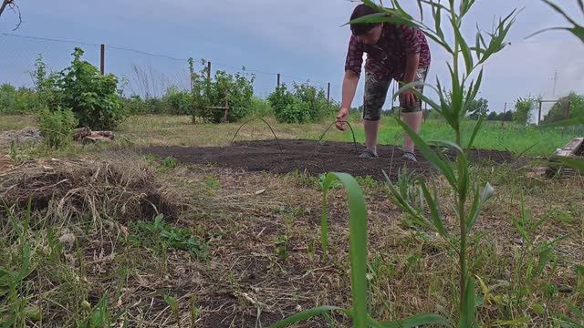 Лес дремучий, но на пользу. Дела житейские смотреть онлайн