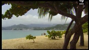 Непутевые заметки 03.03.2002