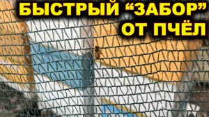 Быстрый "забор" от пчёл.