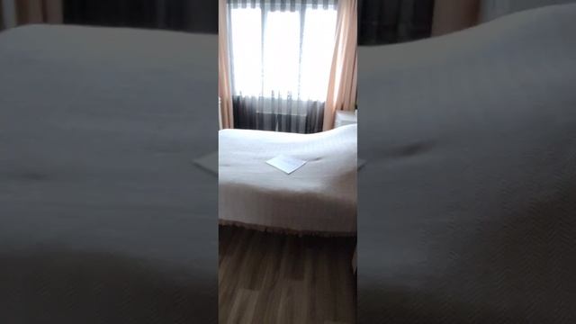 Document_5328302046204424029